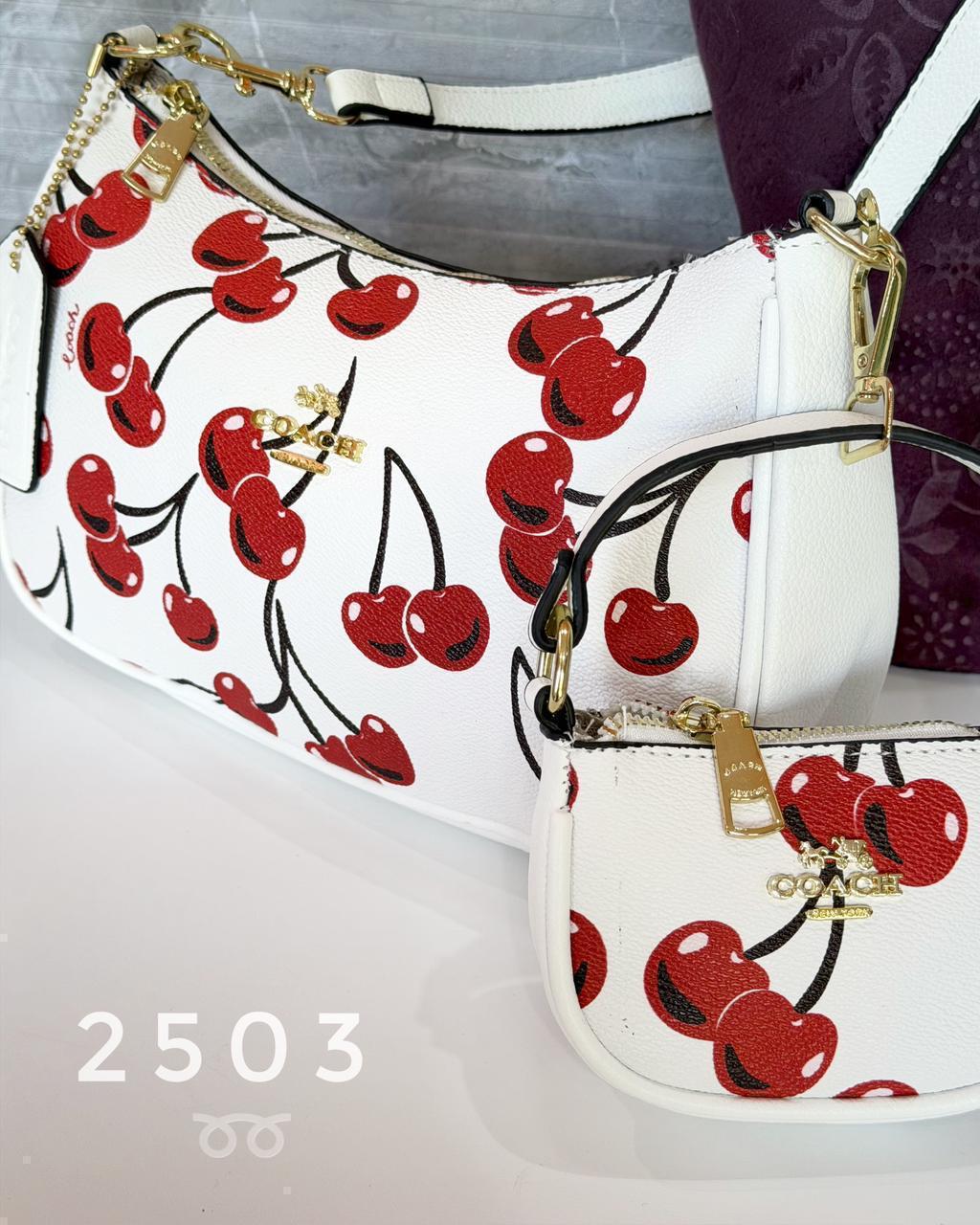Bolsa C@ach