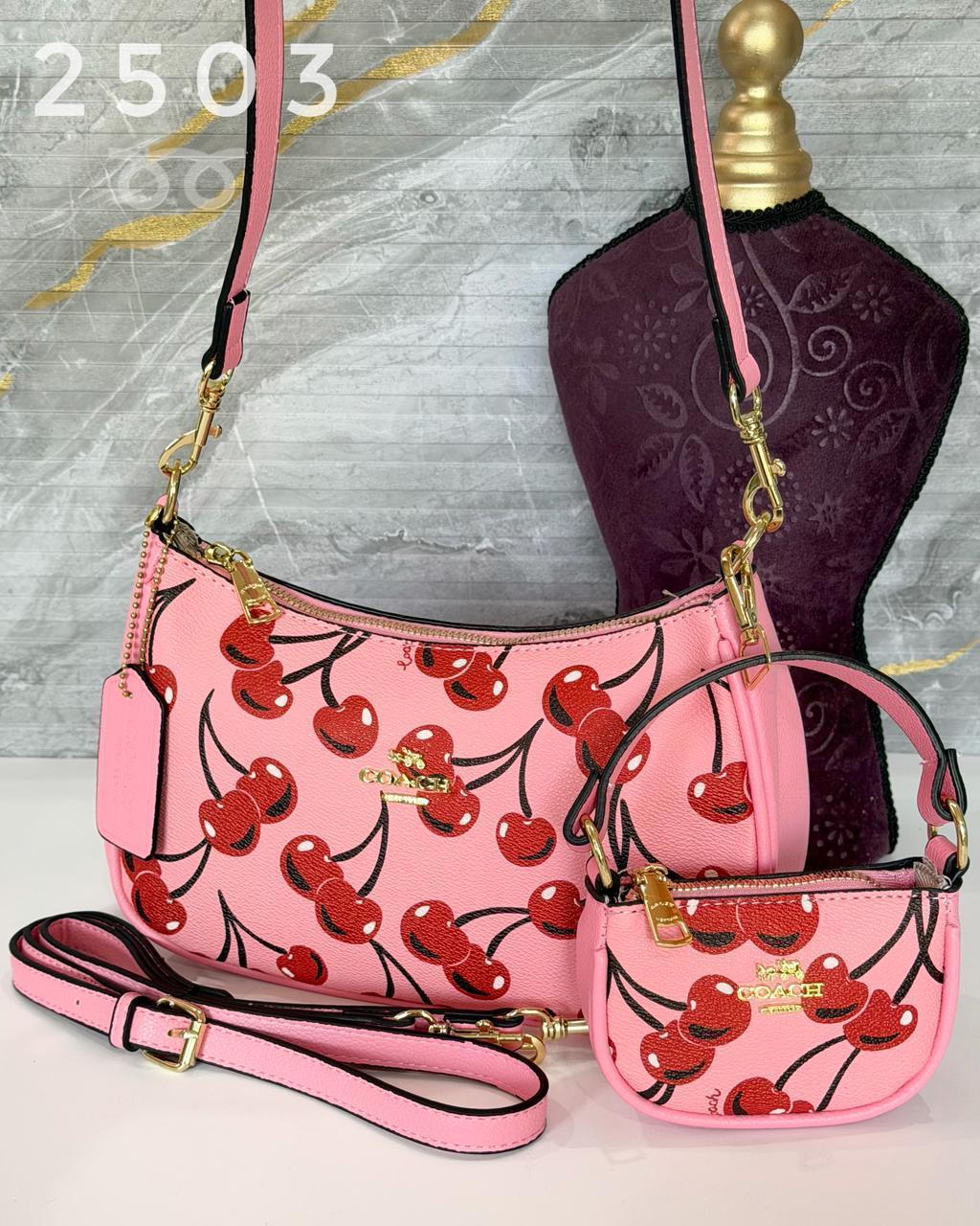 Bolsa C@ach